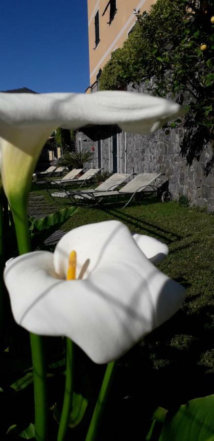 La Gerbera Hotel Levanto Exterior foto